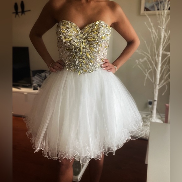 Gorgeous Tulle Dress - Picture 3 of 4